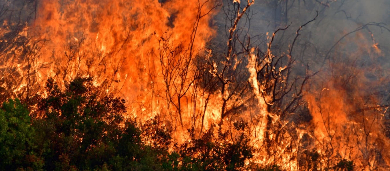 Υπό πλήρη έλεγχο η φωτιά στον Θεολόγο Φθιώτιδας: Είχε δύο μέτωπα μέσα στο δάσος (βίντεο)